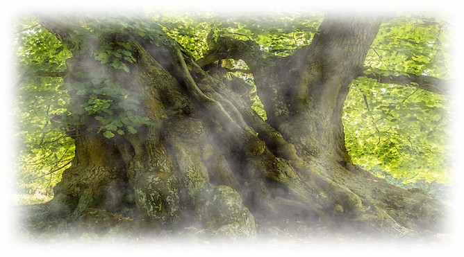 Histoire et travail de mémoire  Histoire et travail de mémoire