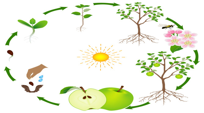 Ruralité et modernité : L'expérience de Cros présentée au colloque organisé par l'Université de Bordeaux Montaigne et l'IPM Ruralité et modernité : L'expérience de Cros présentée au colloque organisé par l'Université de Bordeaux Montaigne et l'IPM