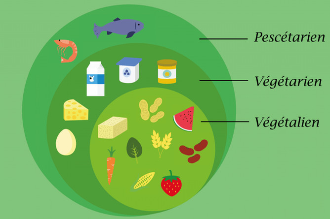 Les diffrentes régimes alimentaires avantages inconvenients Les diffrentes régimes alimentaires avantages inconvenients