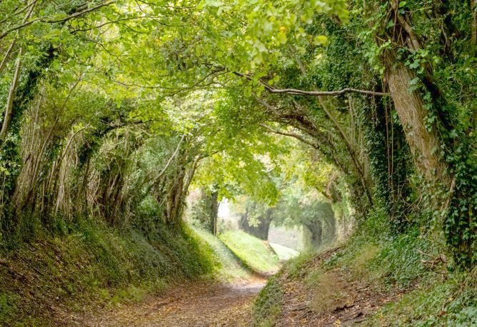 10. Aux frontières de l'Artense réenchantée !