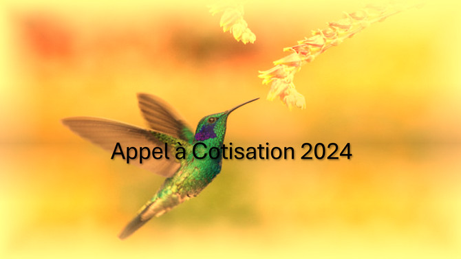 H, P & T : Appel à cotisation pour 2024