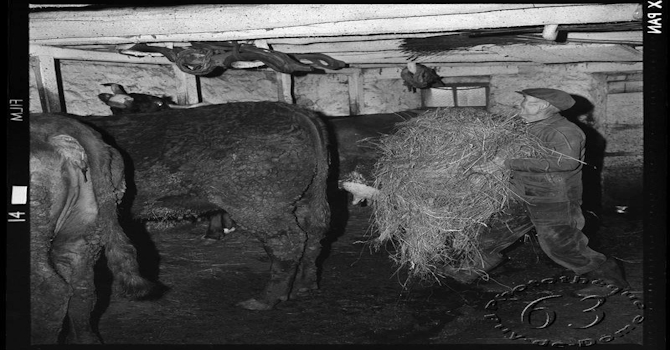 44. Hivernage des troupeaux