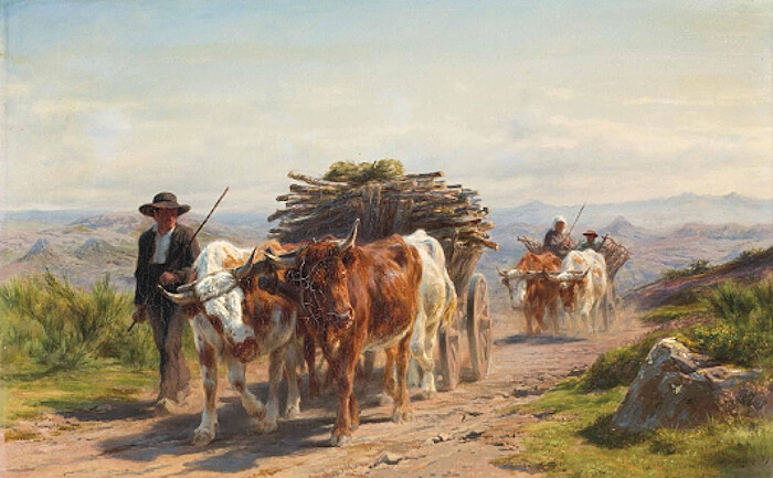 48. Avant les tracteurs, la traction animale