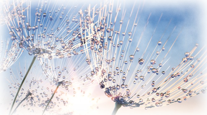 L'Esprit des Lieux en Automne L'Esprit des Lieux en Automne