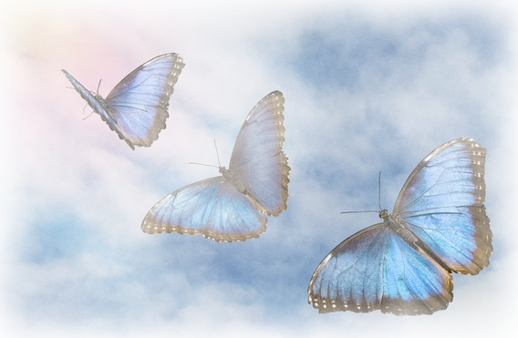 " Tout ce qui nous rassemble nous élève " " Tout ce qui nous rassemble nous élève "