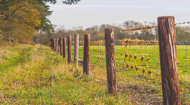 5. Rêverie d'un promeneur dans les campagnes clotûrées ... 5. Rêverie d'un promeneur dans les campagnes clotûrées ...