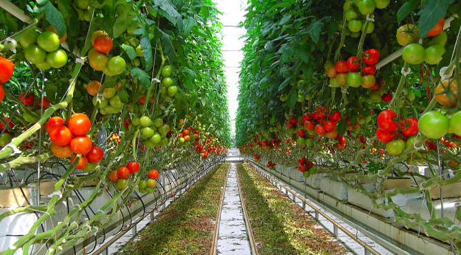 Transition alimentaire de quoi parle t - on ?