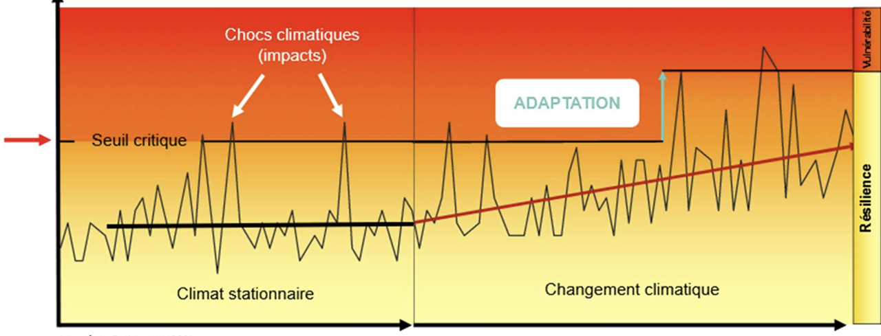 Bientôt + 4 ° : S'adapter au changement climatique 