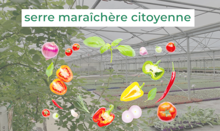  A Cros : Avec les beaux jours, la serre maraichère citoyenne Artensia reprend des couleurs 