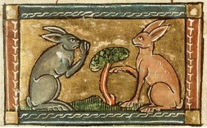 35. Civilisation du lapin !