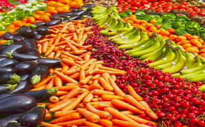 Produire localement pour demain : un nouveau projet maraîcher en Artense