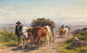 48. Avant les tracteurs, la traction animale