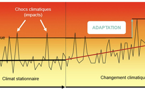 Bientôt + 4 ° : S'adapter au changement climatique 